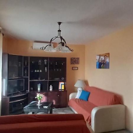 ShkodërViola'S House公寓 外观 照片